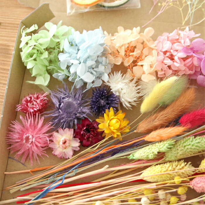 ��᡼���ؤ�����̵���� �����祵������ ����ե� �ֺॻ�å� [ �ɥ饤�ե� �ͤ��碌 �ֺ� ���å� �ץꥶ���֥ɥե� �������� ����С��ǡ����� �������� �ϡ��Хꥦ�� �����ޥ�å����С� ]