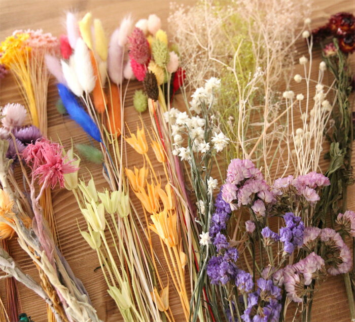 ��Ķ����ܥå����� ����ե� �ֺॻ�å� [ �ϡ��Хꥦ�� �ץꥶ���֥ɥե� �ɥ饤�ե� �ͤ��碌 ʡ�� ���㤤�� �ֺ� ��å��� ���٥�� ������ �������� �� ]