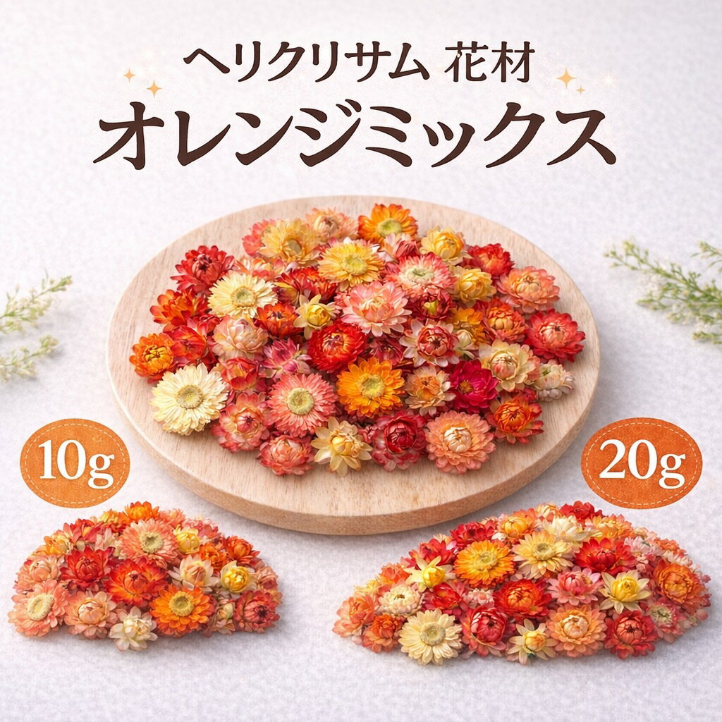 楽天市場】ドライフラワー ヘリクリサムの通販
