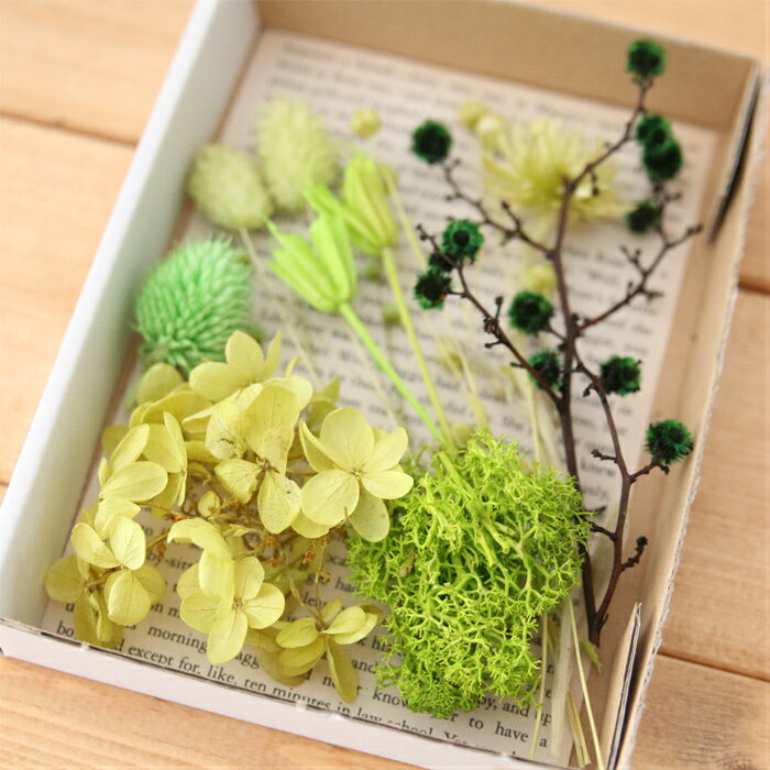 �ڥ��꡼��� ���㤤���� �ֺ७�å� [ �ϡ��Хꥦ�� �����ޥ�å����С� ���쥤�ɥե졼�� �ɥ饤�ե�]