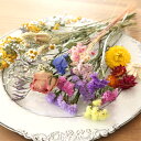 ドライフラワー 花材 詰め合わせ MIX (B5-A) 【 ハーバリウム レジン アロマ ハンドメイド キャンドル サシェ 母の日 国産 】