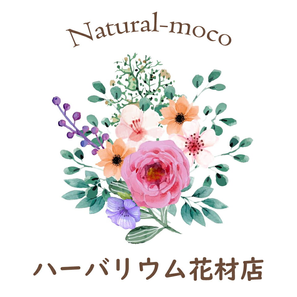 ハーバリウム花材店　Natural-moco