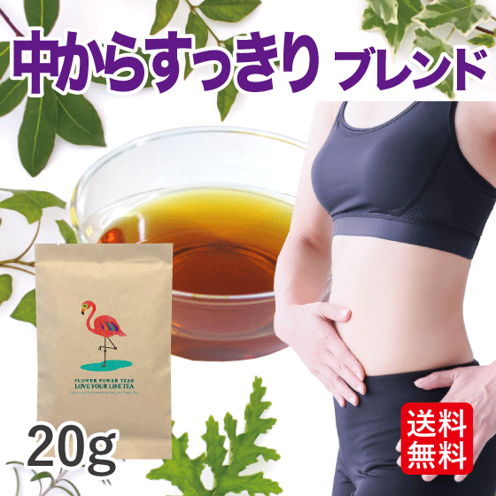 【無農薬 ハーブティー 送料込】中からすっきりハーブティー(オーガニック ノンカフェイン 対策 20g) 【ハーブ茶 アイスティー たんぽぽの根 イエロードック ネトル リコリス ヤーバサンタ ローズマリー】