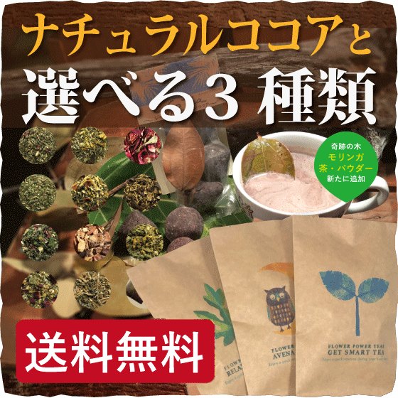 【無農薬 選べる3種類ハーブティーとナチュラルココアセット】(オーガニック ノンカフェイン 花粉症 安眠 ダイエット 風邪 美肌 リラックス チョコレート カカオ 生姜ココア) モリンガ茶　モリンガパウダー
