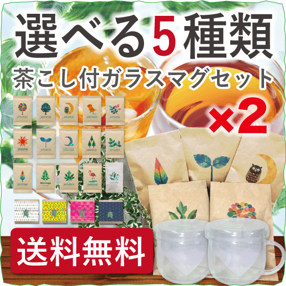 選べるハーブティー5種 × 茶こし付きガラスマグ 2個 セット【送料無料】【ギフト】【オーガニック】【ブレンドハーブティー】【チャイ】【モリンガ茶】【モリンガパウダー】【ティーカップ】【茶漉し】【アイスティー】