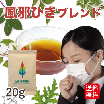 【無農薬 ハーブティー 送料込】風邪・風邪予防のハーブティー(風邪 花粉症 オーガニック ノンカフェイン 生姜 20g)【花粉症】【花粉対策】【ペパーミント】【ショウガ】【ローズヒップ】【アニス】【エルダーフラワー】【タイム】【ヤロー】【カレンデュラ】