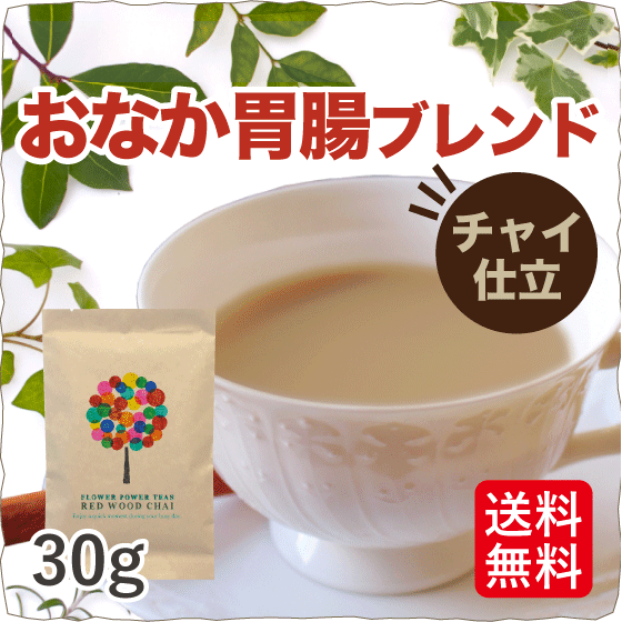 チャイ ハーブティー(胃腸 オーガニック ノンカフェイン 生姜 しょうが シナモン 対策 30g)