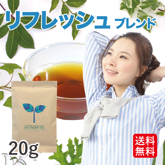 【無農薬 ハーブティー 送料込】リフレッシュハーブティー 20g(オーガニック ノンカフェイン ミント アイスティー )…