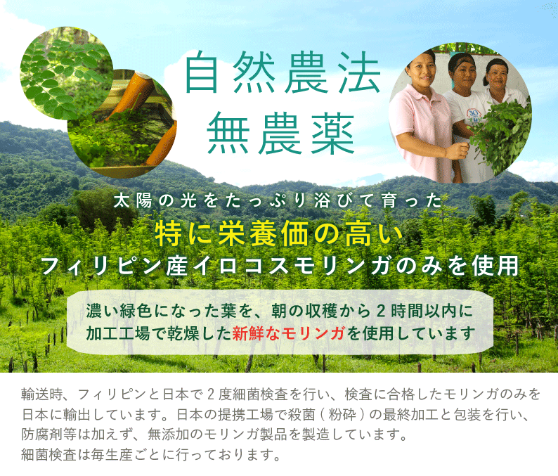 【選べる モリンガ茶・モリンガパウダー 送料無料】 20g 無農薬 オーガニック 無添加 有機 ノンカフェイン スーパーフード 茶葉 粉末 ハーブティー ノンカフェイン 青汁 モリンガ アイスティー