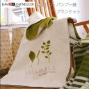 綿・バンブー混毛布Art.2131 Col.60シングルサイズ 150×200cmオーストリア・DAVID FUSSENEGGER社(3)