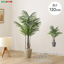 お手入れ簡単 フェイクグリーン アレカヤシ Sサイズ (120cm) 人工観葉植物 観葉植物 フェイク グリーン 鉢付き 簡単お手入れ おしゃれ リビング(4)