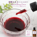 紫根エキス ( シコンエキス ) 20ml 原液 手作り化粧品原料メール便可