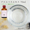 【ヘルシ価格】【5個セット】生活の木 パーム乳化ワックス 100g 12-313-1020×5個セット【返品キャンセル不可品】【割引不可品】