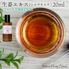 https://thumbnail.image.rakuten.co.jp/@0_mall/naturalcosmetic/cabinet/02223329/ginger-ex20-m.jpg