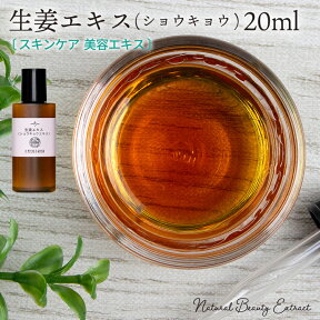 生姜エキス (ショウキョウエキス) 20ml 原液 手作り化粧品原料メール便可 頭皮 ハリ 保湿