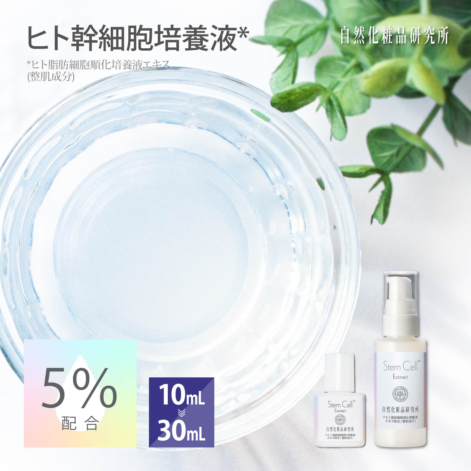 ヒト幹細胞培養液 10ml 30ml [ 原液 ヒト幹細胞 幹細胞培養液 コスメ 美容液 エイジングケア 5％ セラム エッセンス エキス 保湿 手作り化粧品材料 手作りコスメ 自然化粧品研究所 ]