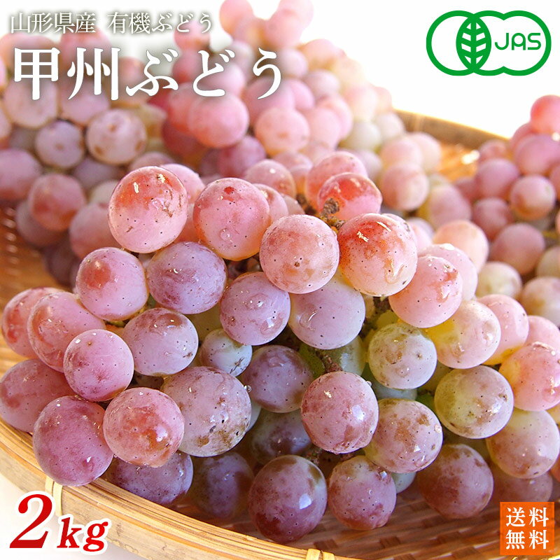 無農薬・無化学肥料　山形県産甲州ぶどう2kg（5〜6房入）【送料無料】有機JAS・オーガニック・自然農法・有機ぶどう・OrganicGrapeのサムネイル