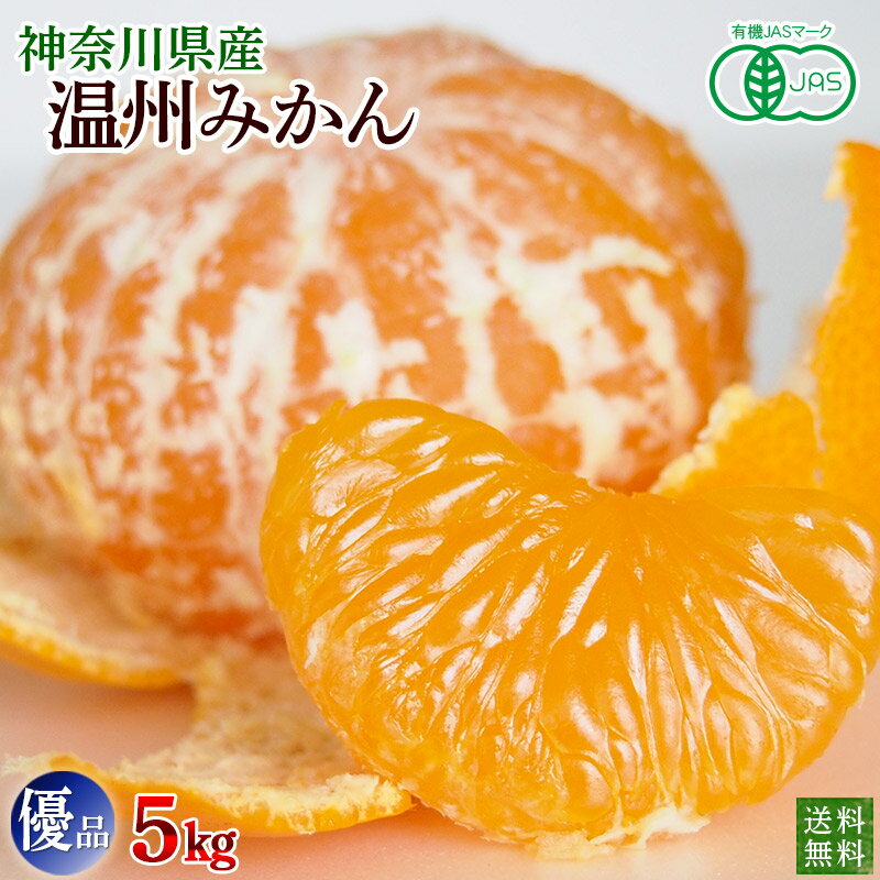 有機みかん　神奈川県産　温州みかん5kg　優品・家庭用　送料無料　数量限定品　有機JAS(4)
