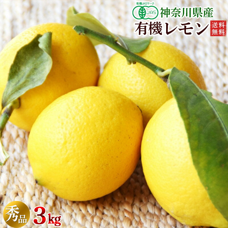 有機レモン3kg・神奈川県小田原産有機栽培(有機JAS)秀品【送料無料】