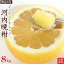 熊本県産・河内晩柑(ジューシーオレンジ)8kg(サイズ混合)16〜25玉・A品【送料無料】