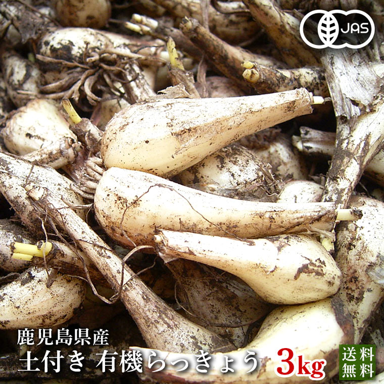 【ふるさと納税】【鹿児島県産】白宝らっきょう 14P（甘酢漬け×7P・しそ漬け7P） 惣菜 らっきょう漬 らっきょう 漬物 甘酢 鹿児島 エスランドル 南さつま市 送料無料 【2019年度 ふるさと納税 寄附額 鹿児島県1位 南さつま市】