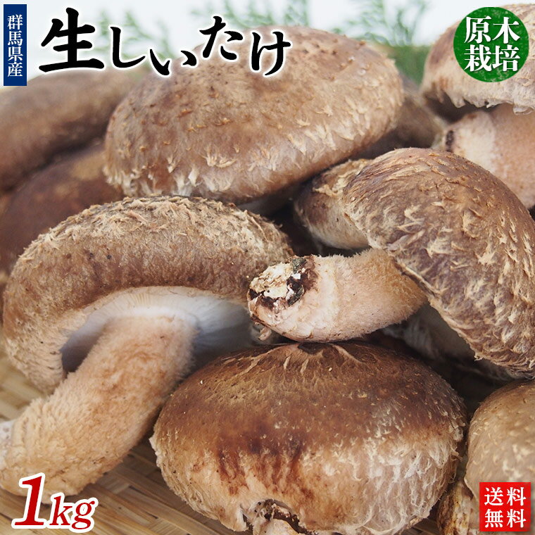 原木栽培 生しいたけ 1kg【送料無料】クール冷蔵便発送・群馬県産原木しいたけ