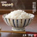 令和元年産　農薬・化学肥料不使用ゆきひかり玄米5kg【送料無料・数量限定品】