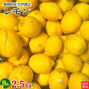 自然農法レモン2.5kg・愛媛産・国産・B品　送料無料 ネオニコフリー・ノーワックス・訳ありlemon