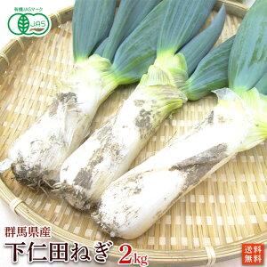 有機栽培・群馬県産　斉藤さんの下仁田ねぎ2kg（8～14本入）【送料無料】有機JAS・Organic・オーガニック