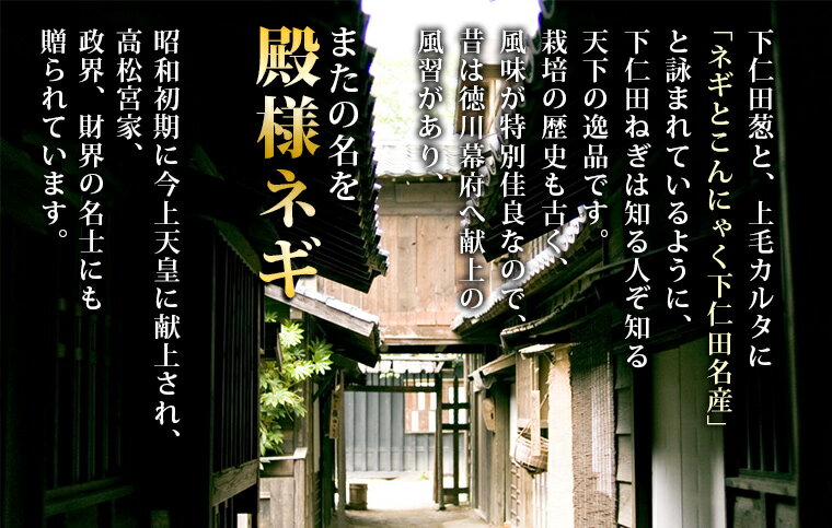 とろ～り美味しい！群馬県の特産品「下仁田ねぎ」無肥料栽培・無農薬無化学肥料・有機JAS（オーガニック）・自家採種　有機栽培・群馬県産　斉藤さんの下仁田ねぎ2kg（10～18本入）【送料無料】有機JAS・Organic・オーガニック