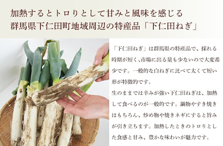 とろ～り美味しい！群馬県の特産品「下仁田ねぎ」無肥料栽培・無農薬無化学肥料・有機JAS（オーガニック）・自家採種　有機栽培・群馬県産　斉藤さんの下仁田ねぎ2kg（10～18本入）【送料無料】有機JAS・Organic・オーガニック