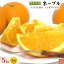 熊本県産・国産ネーブルオレンジ（秀品・サイズ混合）5kg【送料無料】