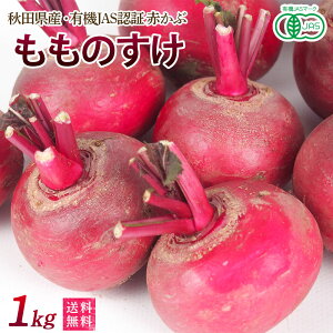 秋田県産・有機赤かぶ「もものすけ」1kg【送料無料】有機JAS・オーガニック・サラダカブ