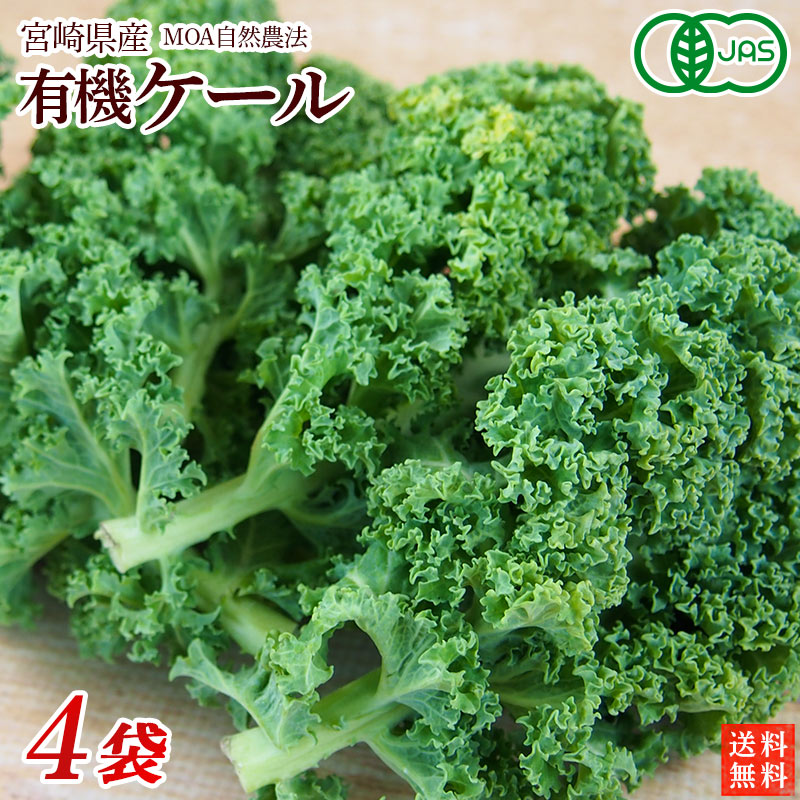 宮崎県産　有機ケール　4袋（約400g）オーガニック【送料無料・クール冷蔵便】自然農法・農薬・化学肥料不使用・有機JAS