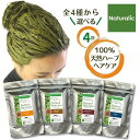 ヘナ 白髪染め カラートリートメント 100%天然ハーブ 自然素材 植物性 毛染め 髪質改善 ヘアカラー ナチュラル ブラウン マホガニー インディゴ 茶系 く...