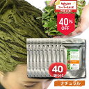 ナチュラル ヘナ100% トリートメント ヘアカラー 髪質改善 無添加 化粧品登録 まとめ買い 送料無料【ナチュラル40袋セット】