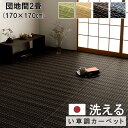 敷物 ござ 洗える い草風 PPカーペット バルカン 団地間 2畳 約170 × 170 cm マット 日本製 上敷き 和室 洋室 床対策 アウトドア ペット ...