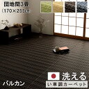 い草風 敷物 ござ PPカーペット 洗える バルカン 団地間 3畳 約170 × 255 cmマット 日本製 上敷き 和室 洋室 床対策 アウトドア アトピー アレルギー体質 の方におすすめ ペット 爪 ひっかからない 水 汚れ はじく 撥水 丈夫 水洗い 丸洗い 万能 2方に ヘリ付 清潔 IK