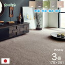 カーペット ラグ 約 176 × 261 cm マット フリッシュ 江戸間 約 3畳 ダニ対策 無地 日本製 抗菌 抗ウイルス 防ダニ 防臭 消臭 防炎 撥水 加工 アレルキャッチャーシート 速乾性 無地 滑りにくい お手入れ簡単 じゅうたん ベージュ ブラウン グリーン ナチュラル ピンク IK