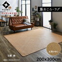ラグ マット 籐 カーペット 玄関 籐 あじろ 約 200×300 cm 宝麗 ひんやり アジアン テイスト ござ 天然ラタン インドネシア産 自然素材 ござ ...