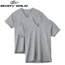 BODY WILD【2枚組】M-LLサイズ ボディワイルド GUNZE グンゼ VネックTシャツ V首 紳士 年間シャツ BW5015A 綿