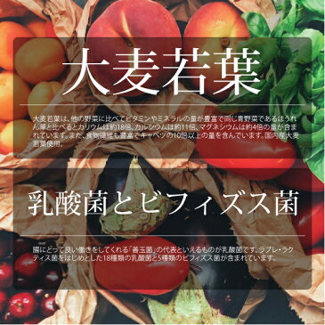 ◎◎リニューアル◎◎大麦若葉青汁ゼリー(15g×14包入)| 国産大麦若葉 青汁 乳酸菌 ビフィズス菌 植物酵素 コラーゲン プラセンタ カルシウム 鉄 黒酢 野菜 健康 美容 ゼリー