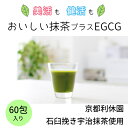 【SS期間中P20倍】【送料無料】おいしい抹茶プラスEGCG 120g（2g×60包）｜カテキン エピガロカテキンガレート EGCG ポリフェノール 抗酸化 宇治抹茶 京都 国産 顆粒 個包装 スティックタイプ 業務用 健康 美容 ダイエット【レビュークーポンあり】