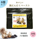 \YouTubeで紹介されました/【お得なセット】【送料無料】おいしい黒にんにくペースト150g(5g×30包)6個セット|発酵 ペースト スティック 個包装 ...