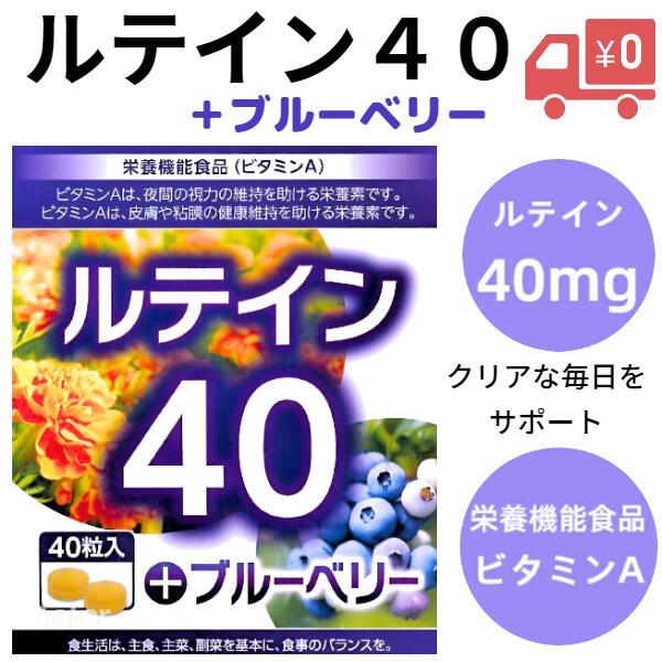 【お買い物マラソン期間中P10倍】【レビュークーポンあり】【送料無料】ルテイン40+ブルーベリー（4 ...