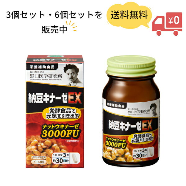 野口医学研究所 納豆キナーゼEX 3000FU（90粒）3個