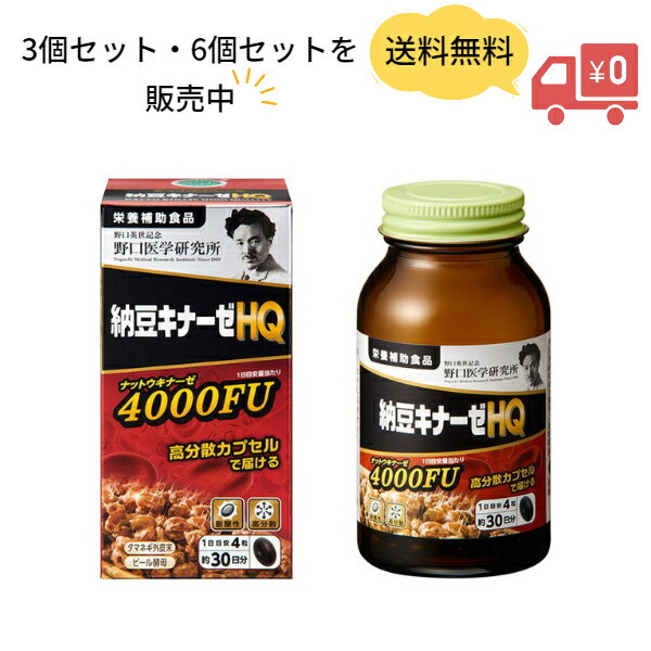 【送料無料】野口医学研究所 納豆キナーゼHQ 4000FU（