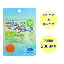 【レビュークーポンあり】マウスフローラ（3g×7包入）| 口腔ケア 腸内環境 腸内フローラ 介護 看護 健康 美容 サプリメント ダイエット 乳酸菌 認知症 便秘 フェカリス菌 ペースト