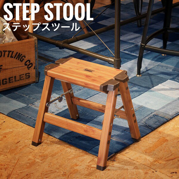 StepStool XebvXc[ 1Xebv