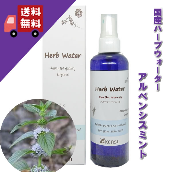 楽天自然のくらし【アルベンシスミント/ハッカウォーター 200ml】→メントールの強いミントの香り♪（脂性肌に）完全国産の本物のハーブウォーター【KENSO/ケンソー/健草医学舎】（ハーブウォーター/フローラルウォーター/化粧水）